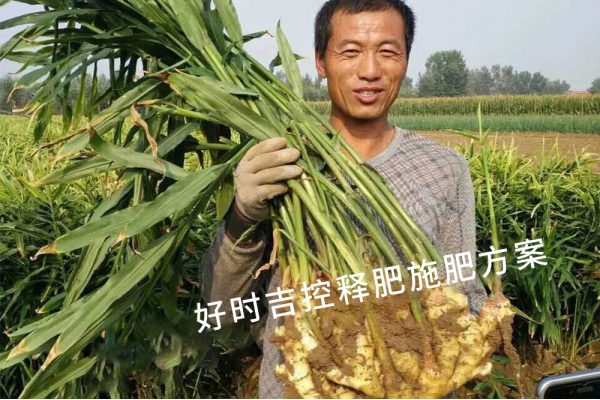 姜農(nóng)滿(mǎn)意，效果杠杠的！
